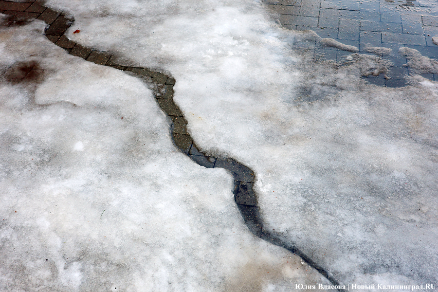 Чудеса эквилибристики и тонкости скольжения: как жители Калининграда передвигаются по тротуарам (фото)