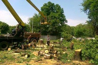 "ЕвроСтройКом" получил порубочный билет на 18 деревьев в сквере на К. Маркса 