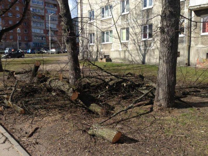 Сильный ветер снёс навес на крытой автопарковке на ул. Невского в Калининграде (+фото)