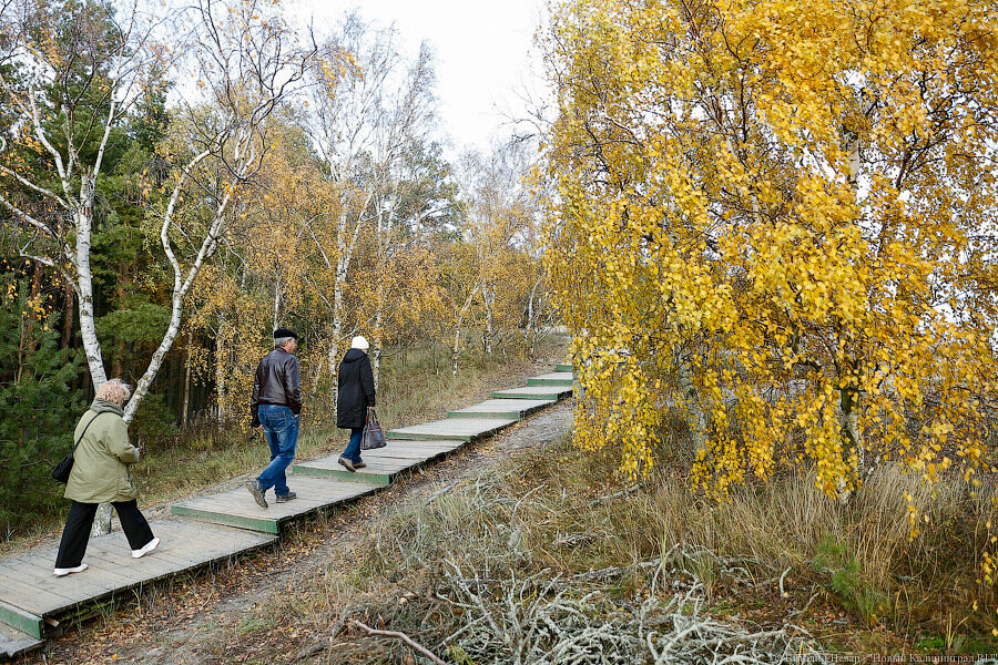 Фото: Новый Калининград