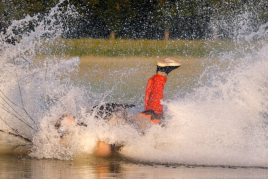 Люди как птицы: под Калининградом прошел этап Кубка России по купольному пилотированию (фото)