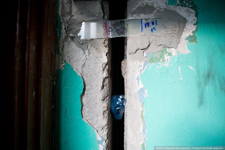 Фото — Алексей Милованов, «Новый Калининград.Ru»