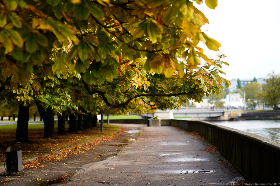«День октябрьского лета»: в четырех городах региона зафиксировали температурные рекорды
