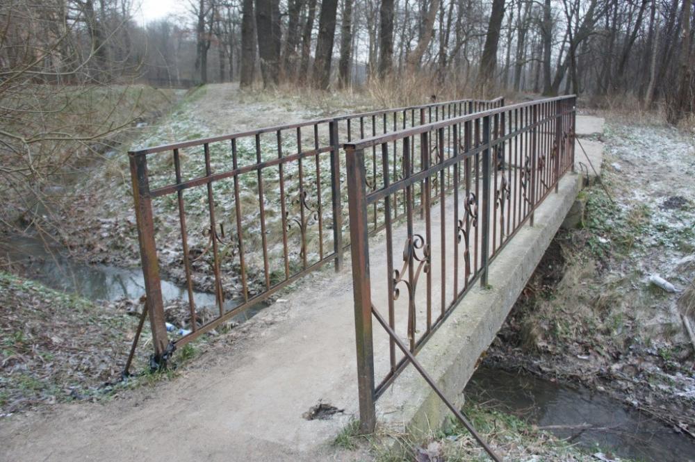 Фото — Максим Корончик, «Новый Калининград».