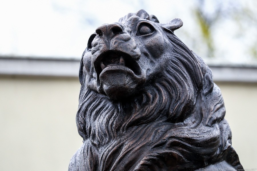 Звери из бронзы: на входе в Калининградский зоопарк установили новые скульптуры (фото)