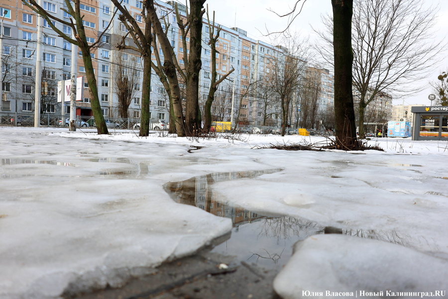 Чудеса эквилибристики и тонкости скольжения: как жители Калининграда передвигаются по тротуарам (фото)