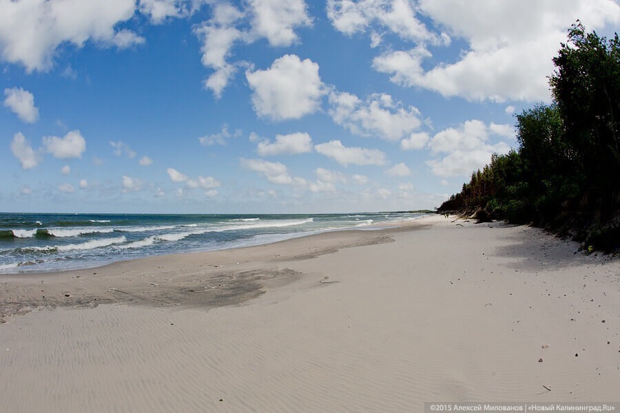 Лучше один труп, чем два: Кошевой предлагает штрафовать за купание в пьяном виде