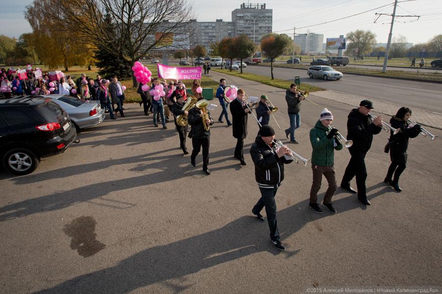 С оркестром и в шарфах: как прошел в Калининграде Марш против рака