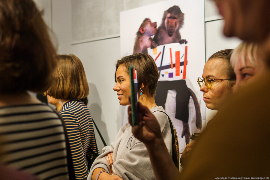 Хлеб, колбаса и «Синие носы»: в Калининграде открылся «Кухонный супрематизм» (фото)