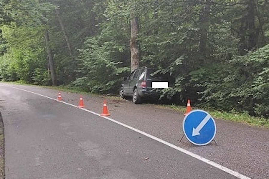 Под Зеленоградском «Мерседес» врезался в дерево, пострадала женщина (фото)