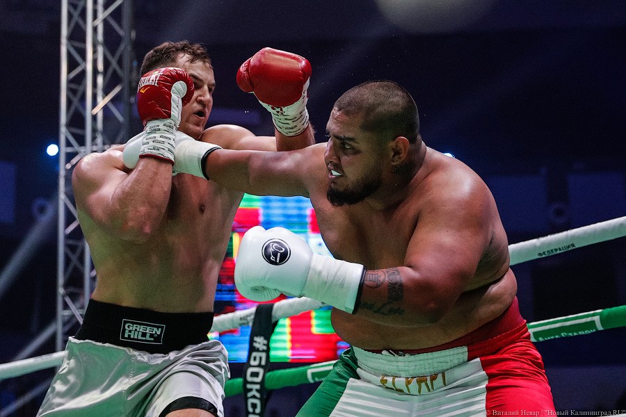Раздельным решением судей: Чухаджян взял титул WBA International в Калининграде