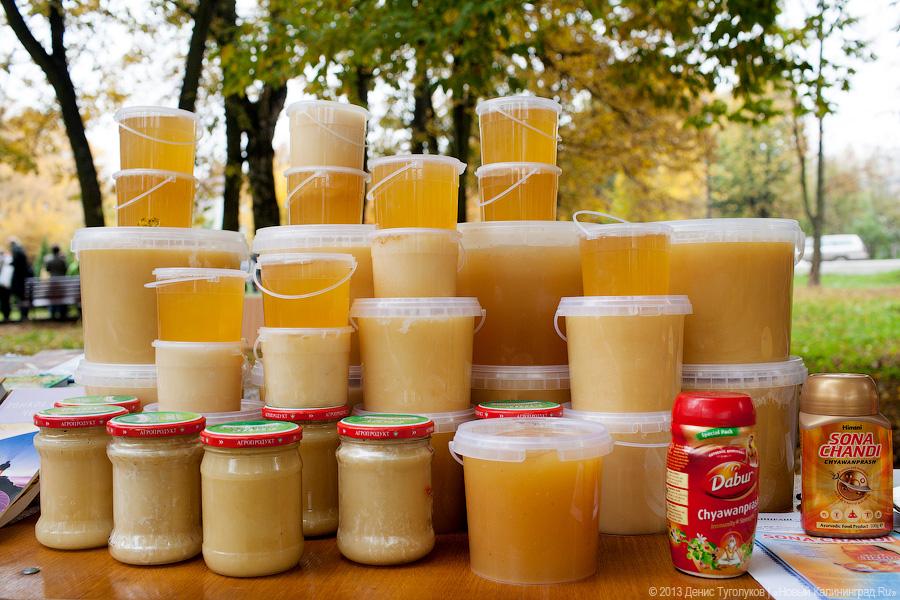 Вершки и корешки: как в Полесске отметили День картошки