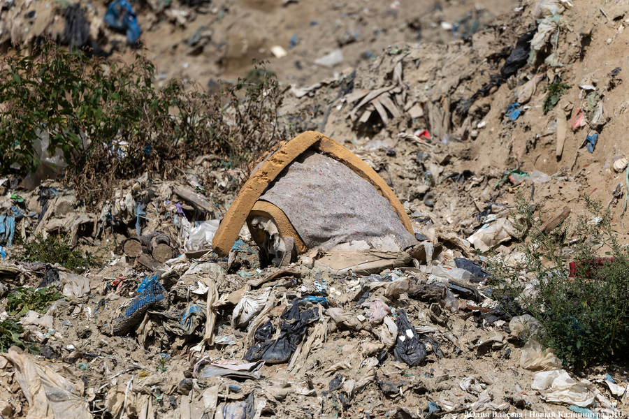 «Стихией управлять не научились»: как глава Минприроды РФ понюхал воздух в Круглово (фото)