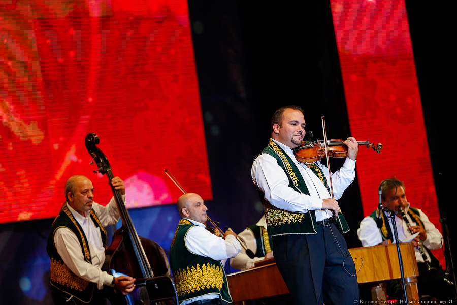 Да здравствует милая Африка!: второй день фестиваля «Территория мира»