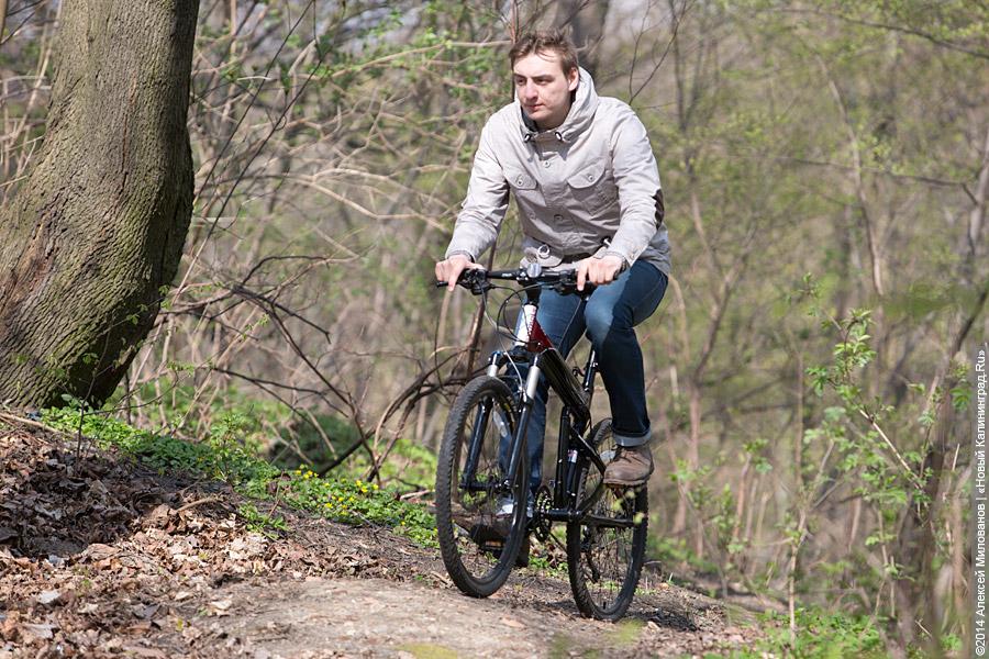 В склад и в лад: тест-драйв складных велосипедов Montague
