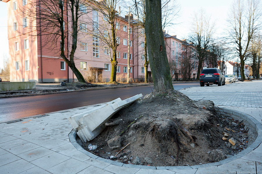 Коренные изменения: как выглядит сегодня благоустройство ул. П. Морозова (фото)