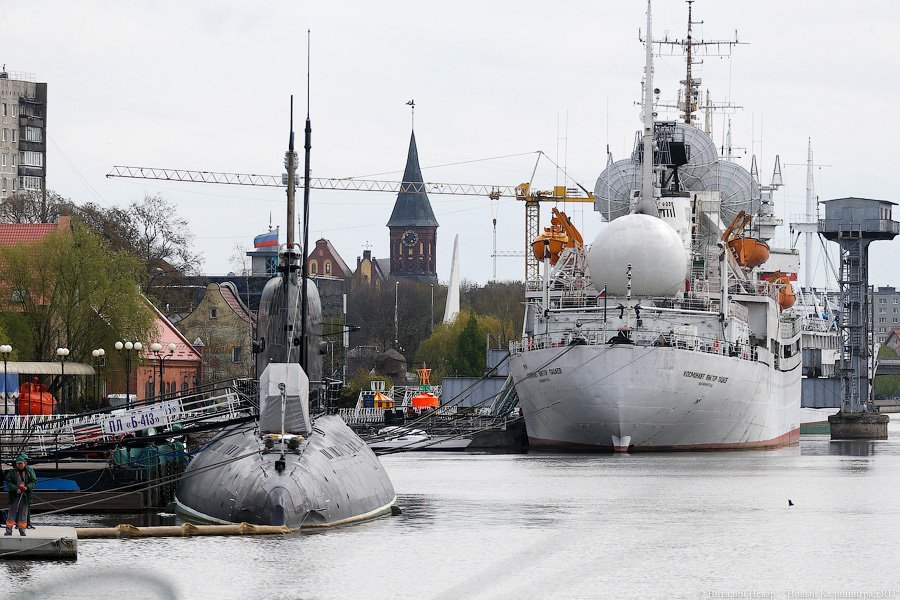 Экс-губернатор Егоров против Музея Мирового океана: история одного скандала