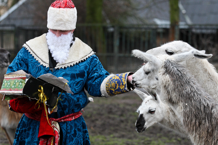 Фото: Виталий Невар / Новый Калининград 