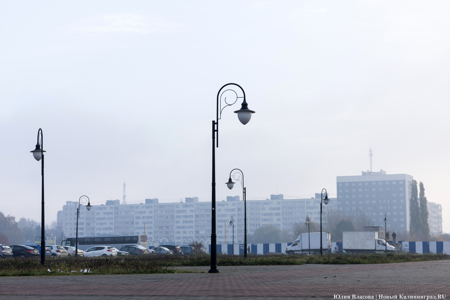 Погода в Калининградской области 25 ноября