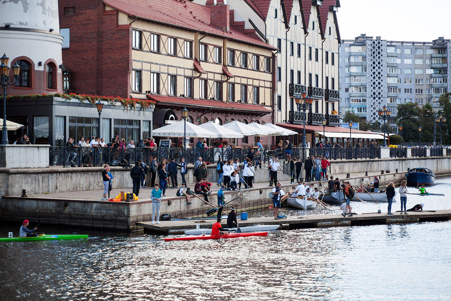 Суши весла!: в Калининграде состоялась международная «Прегельская регата»