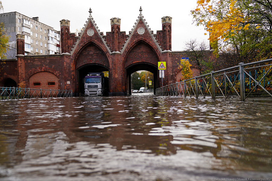 Другой берег улицы: Калининград затопило после шторма (да, опять)