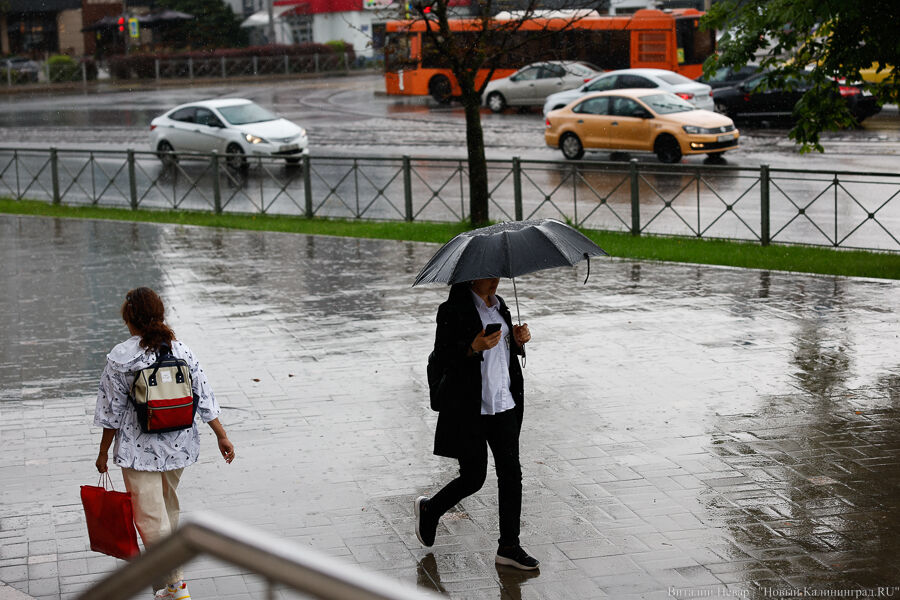 «Локальные и кратковременные»: метеорологи впервые за месяц пообещали калининградцам дожди