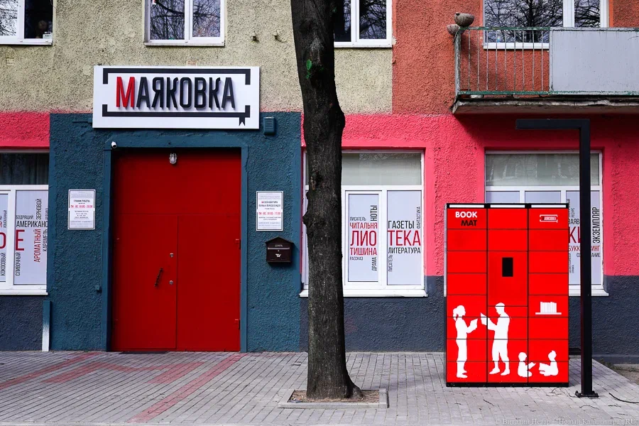 Проект капремонта библиотеки им. Маяковского в Калининграде не прошёл экспертизу