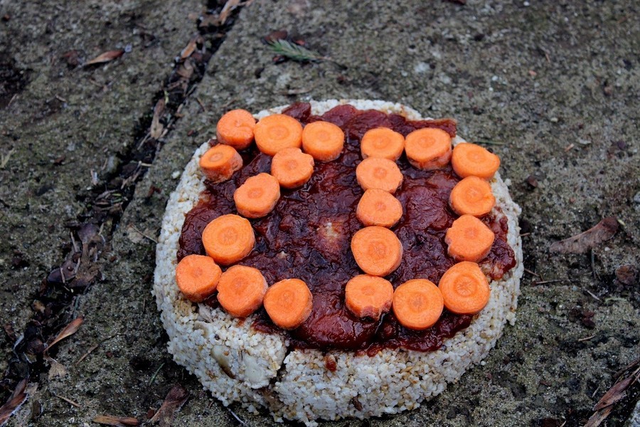 Медведице Ханни из Калининградского зоопарка подарили торт на 20-летний юбилей (фото)