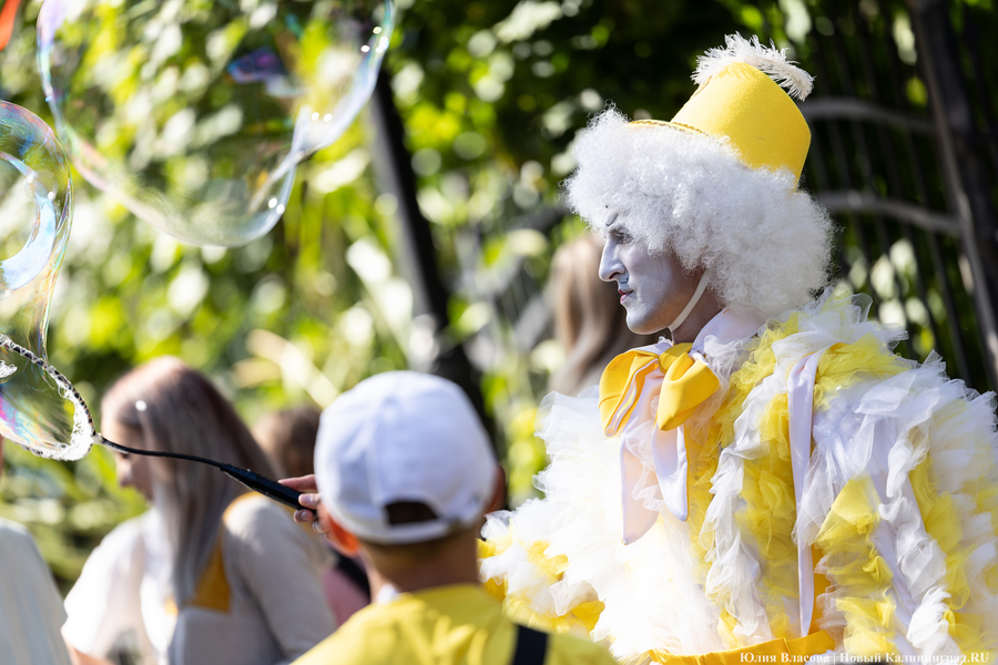 «Цветы против пивных бутылок»: как прошел фестиваль «Хранителей руин» (фото)