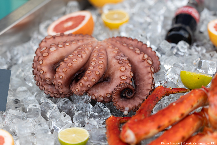 И рыба, и мясо: в Зеленоградске открылся гастрономический «Фиштиваль» (фото)