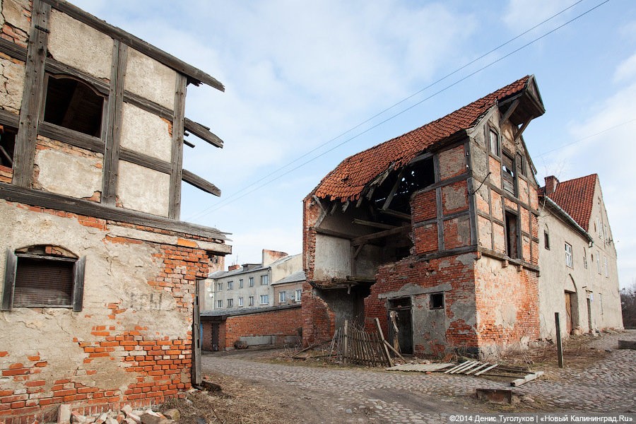 Фото — Денис Туголуков, «Новый Калининград»