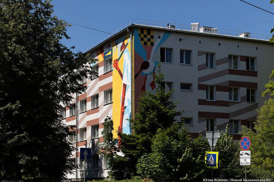 То, чему предстоит стать классикой: на зданиях БФУ им. Канта нарисовали четыре мурала (фото)