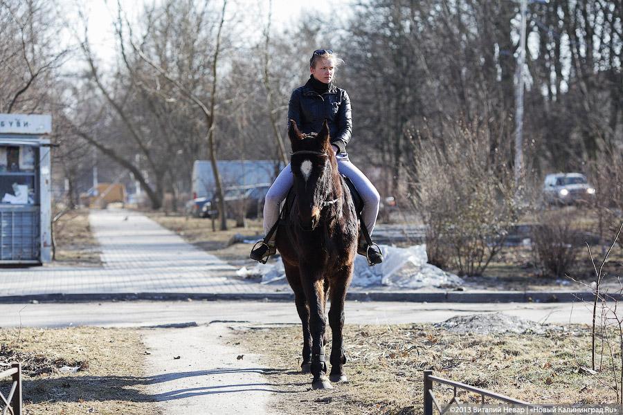 «Я знаю — саду цвесть!»: мэр Ярошук проехался по дорогам, подлежащим ремонту (+фото)