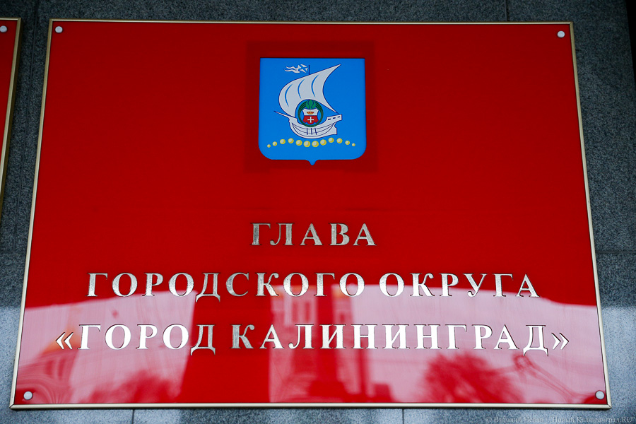Обнуление главы: как в Калининграде обсуждали возврат сити-менеджера