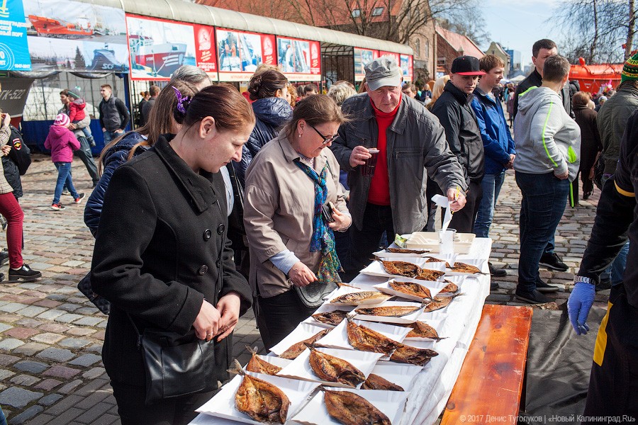 Салаке и корюшке на заметку: как прошёл День селёдки в Калининграде