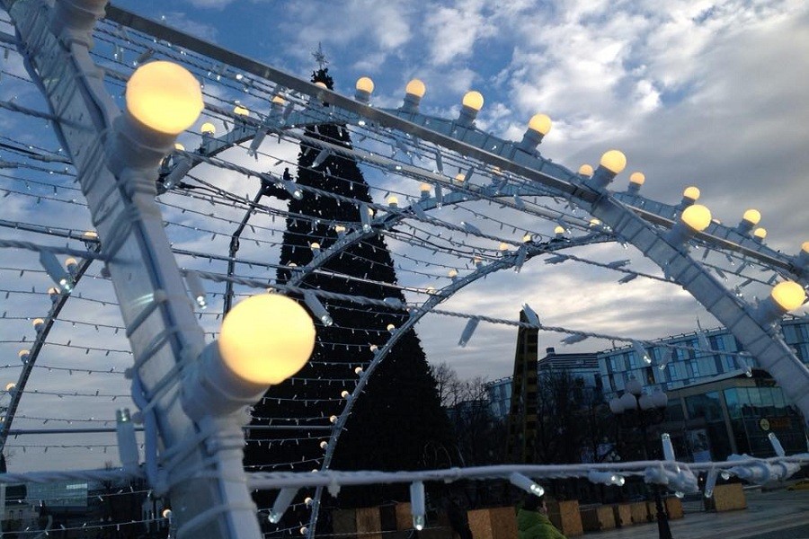 В мэрии жалуются на калининградцев, выкручивающих лампочки из новогодних украшений