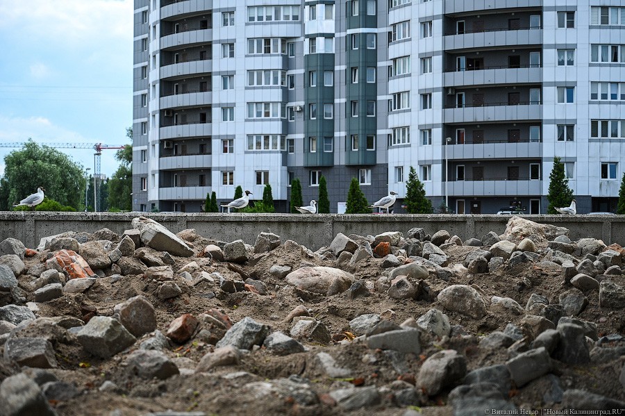 «Вступают в финальную стадию»: как выглядит остров Канта в ходе реконструкции (фото)