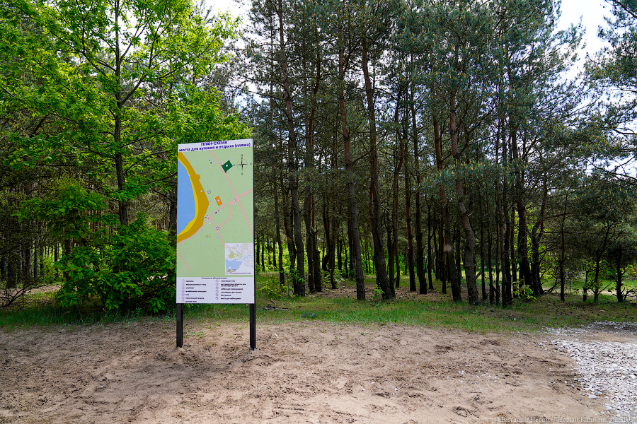 «Не врите мне»: фекалии в воде не портят отдых калининградским купальщикам (фото)
