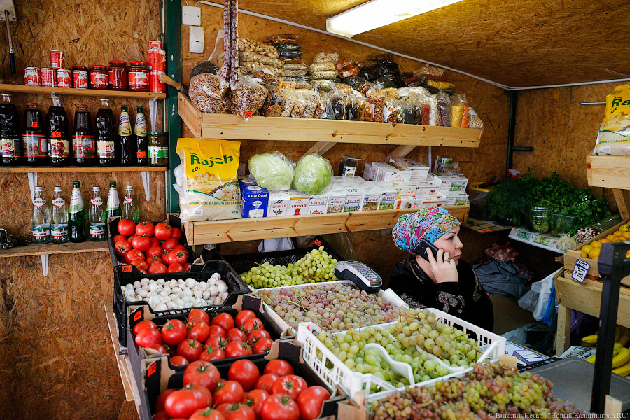 «Куда потом, воровать?»: Калининград на пороге новой палаточной войны