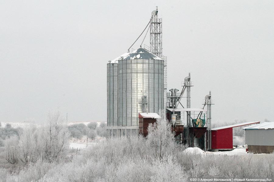 «Это же не Урюпинск!»: Николай Цуканов в Озёрске