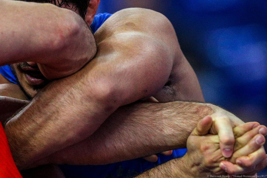 Просто мощь: чемпионат России по греко-римской борьбе идет в Калининграде (фото)