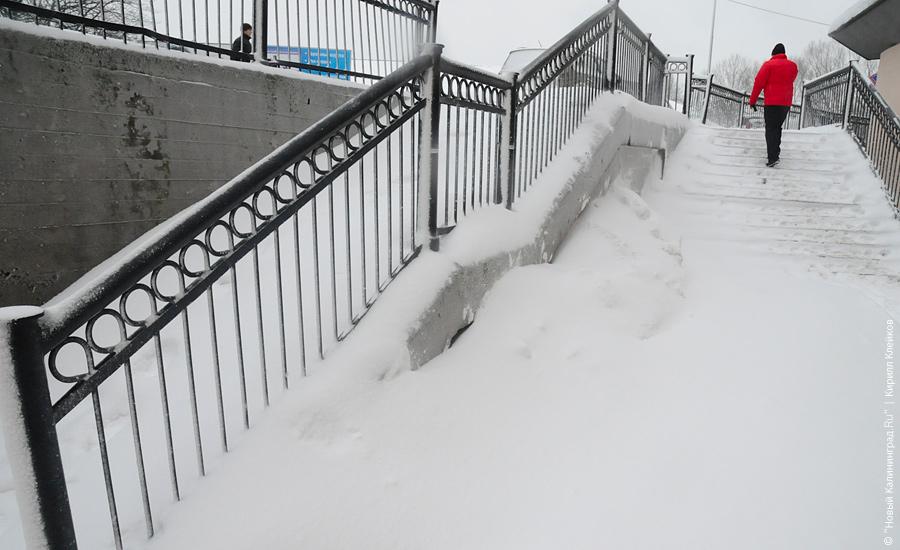 "Нападение белых мух": фоторепортаж "Нового Калининграда.Ru"