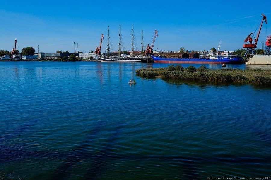 «Мама поседеет, папе пофиг»: «Крузенштерн» и «Седов» готовятся к кругосветке (фото)
