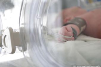 За 2013 год младенческая смертность в регионе увеличилась на 16%