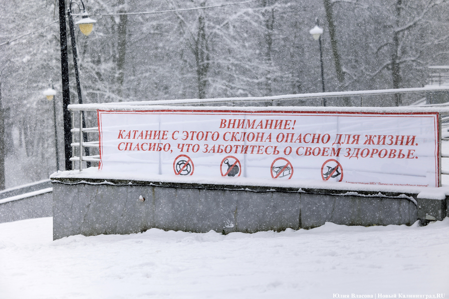 Пролетая на ватрушке: как в Центральном парке катаются с горки вопреки запретам (фото)