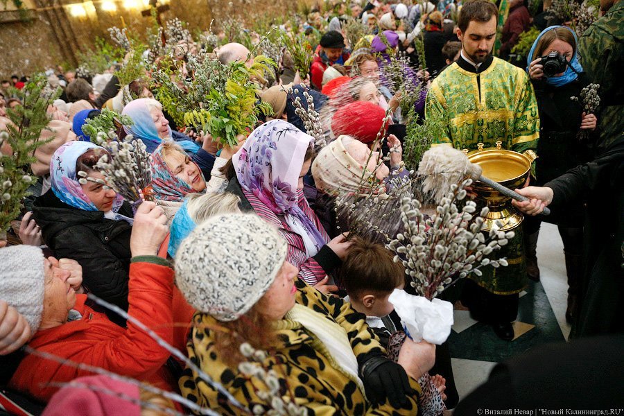«Цветики да вербочки»: как прошло богослужение в Вербное воскресенье (фото)