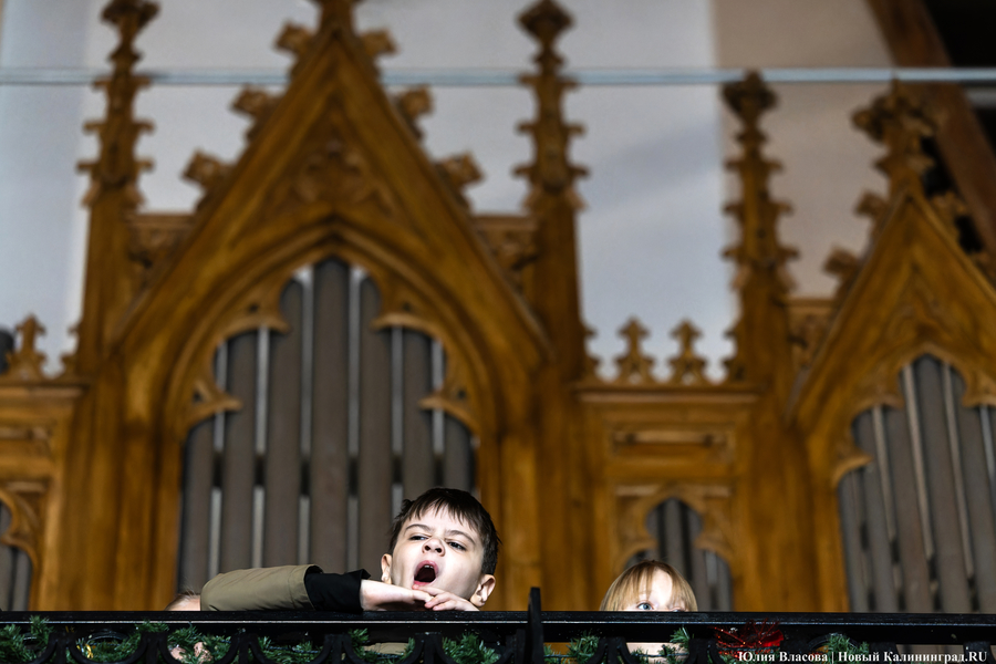 Навстречу Рождеству: как прошел католический сочельник в Калининграде (фото)