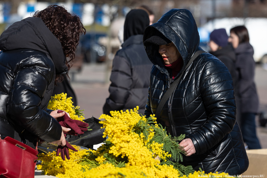 Цветочные баррикады: как выглядят улицы Калининграда 8 марта (фото)