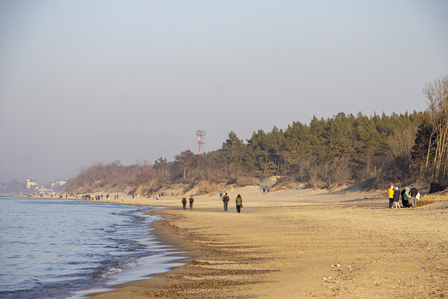 Погода в Калининградской области 10 марта