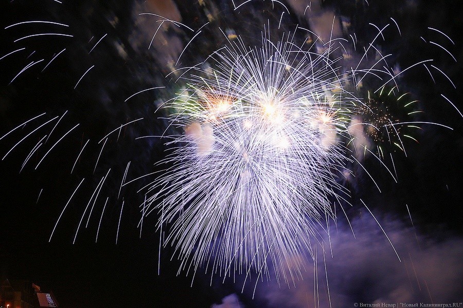 Виталий Невар / Новый Калининград 